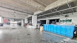 LINER (D22), Factory #558270481